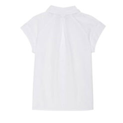 Áo Raglan sơ mi đồng phục